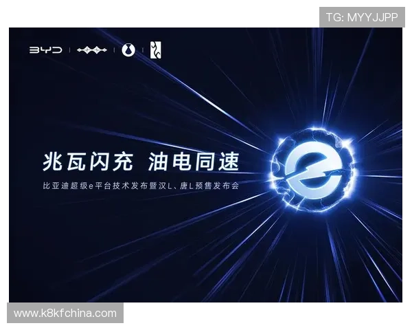 天生赢家一触即发凯发：应对游戏版本调整的实用技巧与策略调整建议